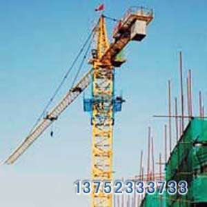 天津塔機租賃設(shè)備圖片精選與細節(jié)解析